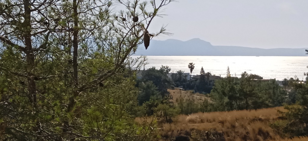Land Land - Argaka Residential Land for sale
