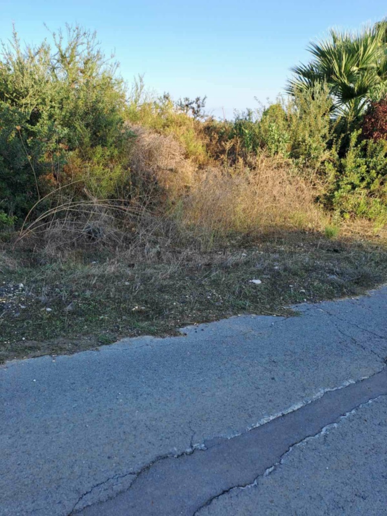 Land Land - Agricultural land for sale Anadasmos Latchi in Neo Chorio
